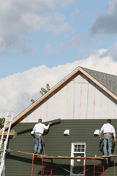 Best Stone Veneer Siding  in Chittenango, NY